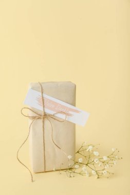 Arkaplanda hediye kutusu ve çigila çiçekleri
