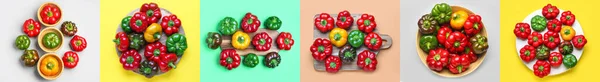 Collage Many Bell Peppers Colorful Background Top View — Stock Photo, Image