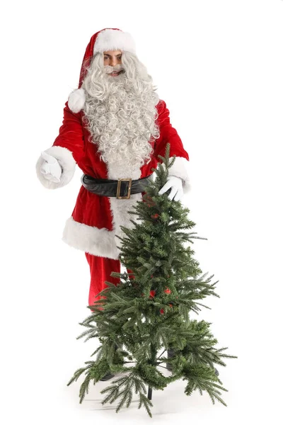 Papai Noel Com Árvore Natal Fundo Branco — Fotografia de Stock