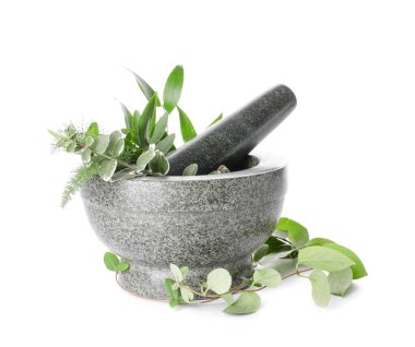 Beyaz arka planda farklı otlar bulunan taş havan topu.