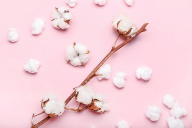 Pembe arka planda yumuşak pamuk ve çiçekler