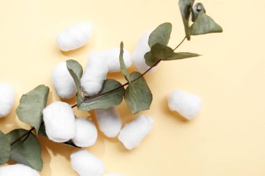 Bej arka planda okaliptüs dallı yumuşak pamuk topları