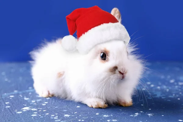 Cute Fluffy Rabbit Santa Hat Blue Background Greeting Card New — Stock Photo, Image