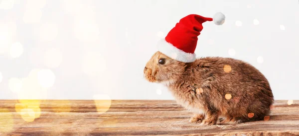 Cute Rabbit Santa Hat Light Background Space Text Banner New — Stock Photo, Image