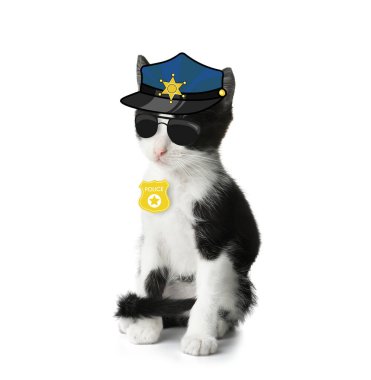 Beyaz arka planda polis gibi giyinmiş şirin kedi yavrusu.