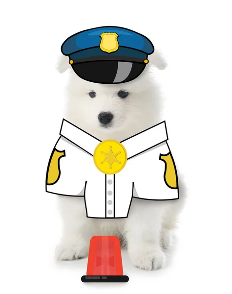 Beyaz Arka Planda Polis Kılığına Girmiş Şirin Samoylu Köpek Yavrusu — Stok fotoğraf