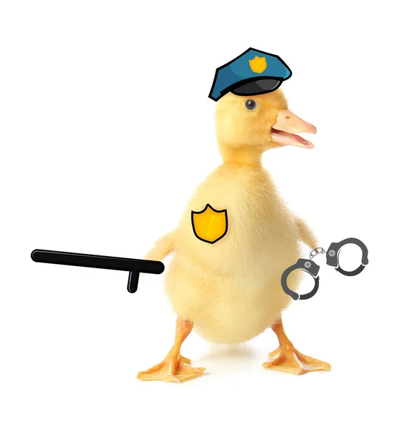 Cute Duckling Dressed Police Officer White Background — Stock Photo, Image