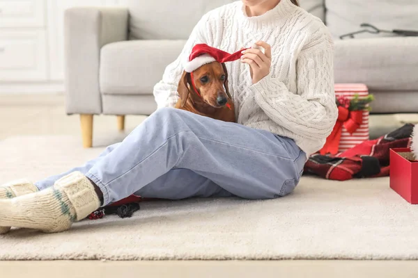 Niedlicher Dackelhund Mit Weihnachtsmütze Und Herrchen Heiligabend Hause — Stockfoto