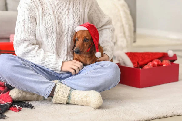 Милий Собака Таксі Санта Капелюхом Власником Будинку Напередодні Різдва — стокове фото