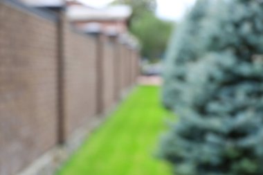 Güzel köknar ağaçları ve tuğla çitlerin bulanık manzarası