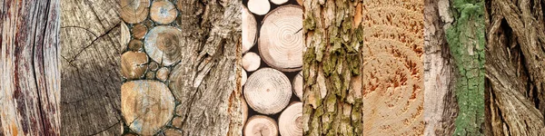 Kolaż Naturalnych Tekstur Drewnianych Widok Bliska — Zdjęcie stockowe