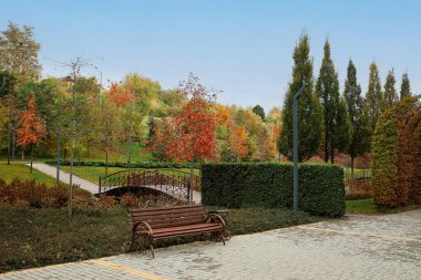 Banka, köprüye ve ağaçlara sahip sonbahar parkı manzarası