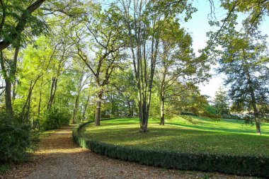 Güzel ağaçların, yeşil çalıların ve sonbahar parkının manzarası.