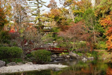 Ağaçları, köprüsü ve göleti olan sonbahar parkı manzarası