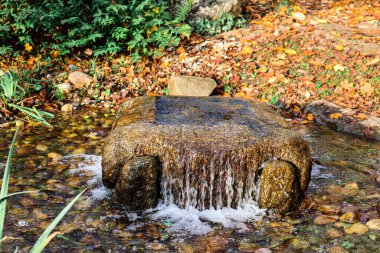 Sonbahar parkında taşlı gölet manzarası