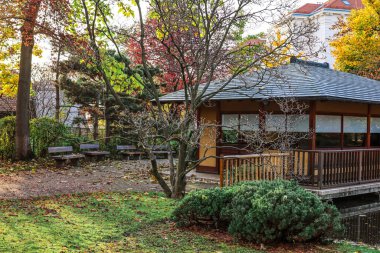 Bankları, ağaçları ve binaları olan sonbahar parkı manzarası
