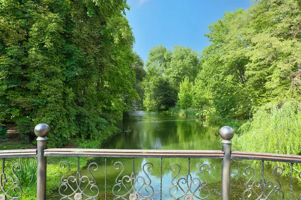 Uitzicht Prachtige Rivier Met Groene Bomen Metalen Hek — Stockfoto