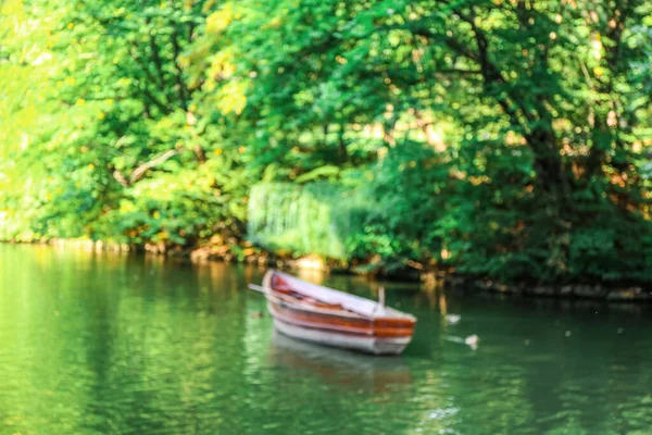 Uitzicht Prachtige Rivier Met Boot Groene Bomen — Stockfoto