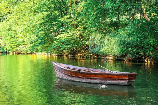 Uitzicht Prachtige Rivier Met Boot Groene Bomen — Stockfoto