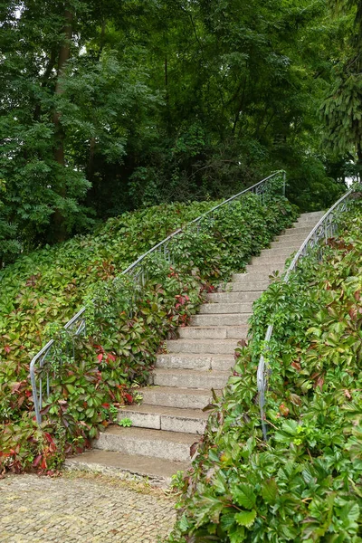 View Stairs Green Bushes Park — Stock Photo, Image
