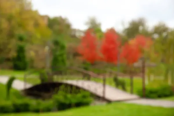 Blurred View Autumn Park Wooden Bridge Trees — Stock Photo, Image
