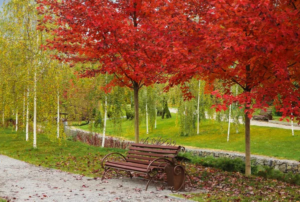 Utsikt Över Höstparken Med Bänk Och Röda Träd — Stockfoto