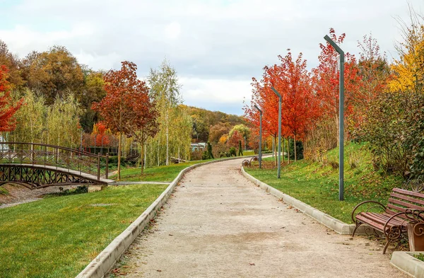 View Autumn Park Alley Trees — Stock Photo, Image