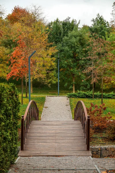 View Autumn Park Wooden Bridge Trees — Stock Photo, Image