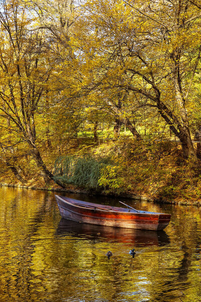 View of beautiful lake with boat in autumn forest