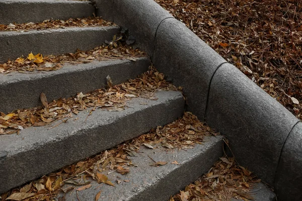 Vista Escadas Granito Com Folhas Caídas Parque Outono Close — Fotografia de Stock