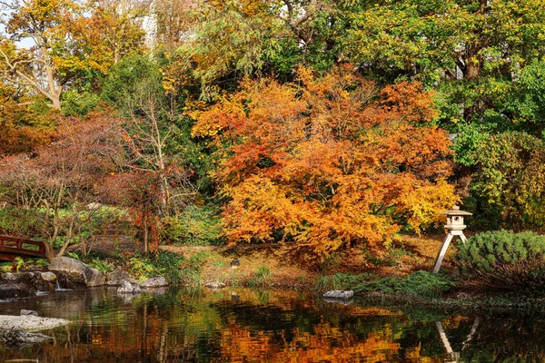 stock image View of autumn park with trees and pond