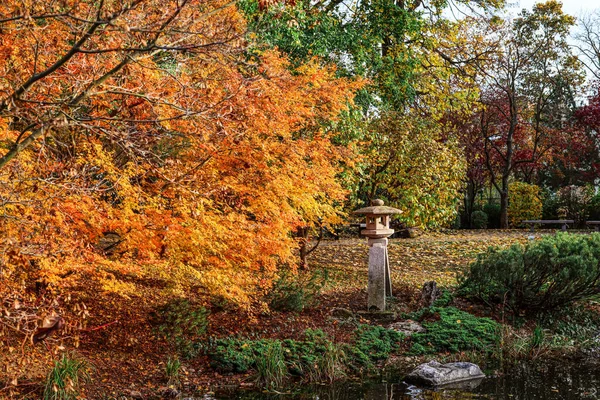 View Autumn Park Stone Lantern Trees Pond — Stock Photo, Image