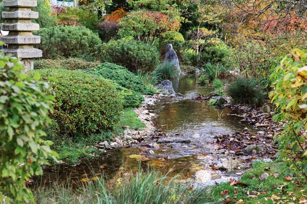 View Autumn Park Pond Bushes — Stock Photo, Image