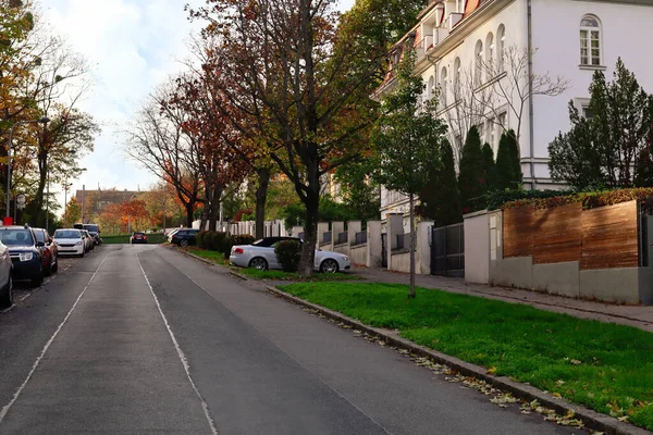 秋の日に木や道路と街の通りの眺め — ストック写真