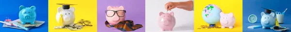 Set Von Sparschweinen Auf Farbigem Hintergrund — Stockfoto