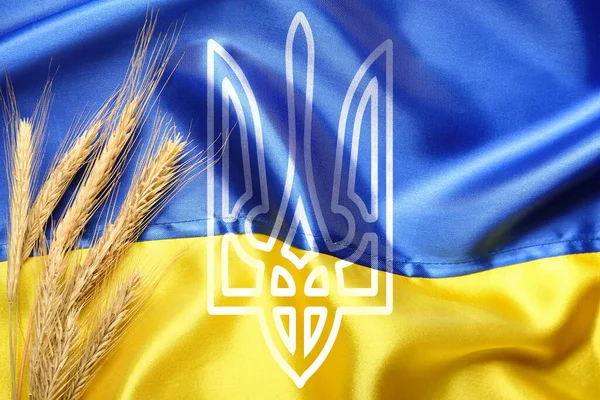 Búza Fül Szigony Zászló Ukrajna — Stock Fotó