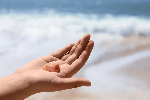 stock image Woman with seashell on beach, closeup