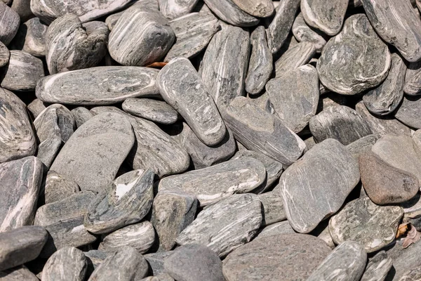 Grey Pebbles Background Closeup — Stock Photo, Image