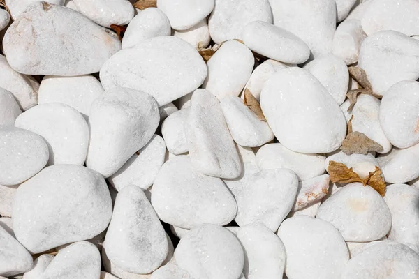 White Pebbles Background Closeup — Stock Photo, Image