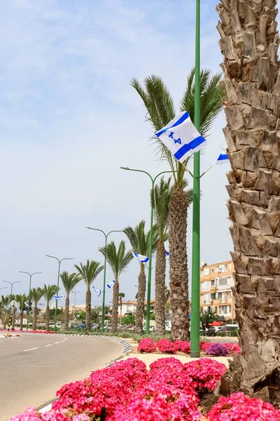 Krásné Palmy Vlnící Vlajky Izraele Městské Ulici — Stock fotografie