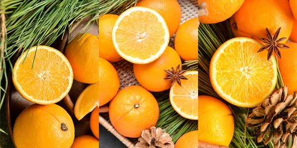 Collage Con Naranjas Dulces Ramas Abeto —  Fotos de Stock
