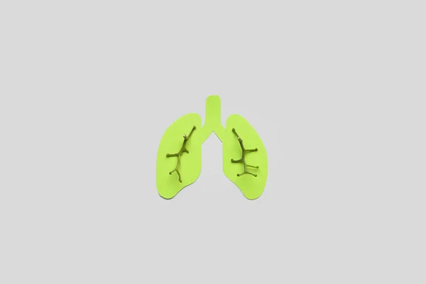 Polmoni Carta Verde Con Rami Piante Sfondo Chiaro — Foto Stock