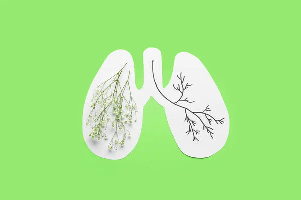Paper Lungs Flowers Drawn Branches Green Background — Stock Photo, Image