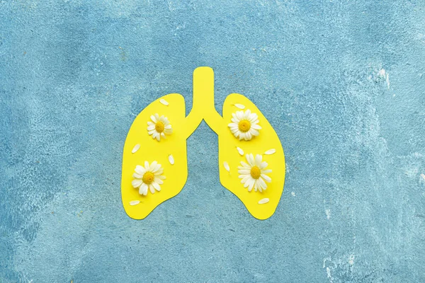 Yellow Paper Lungs Chamomile Flowers Grunge Background — Stock Photo, Image