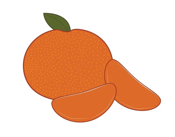 Chutné Mandarinky Bílém Pozadí — Stockový vektor