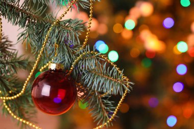 Köknar ağacında boncuklu kırmızı Noel balosu, yakın plan.