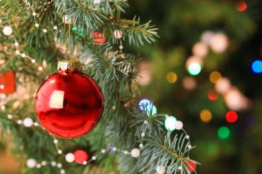 Köknar ağacındaki kırmızı Noel balosu, yakın plan.