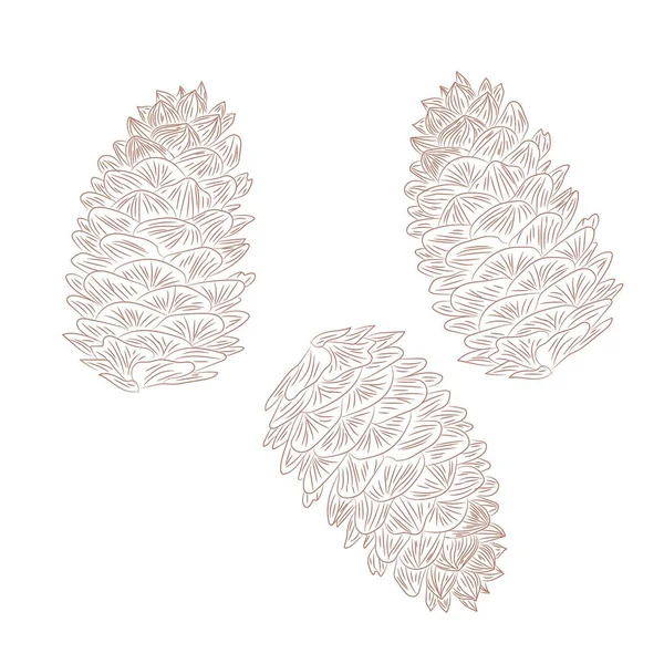 Sketch Coniferous Cones White Background — Stock Vector