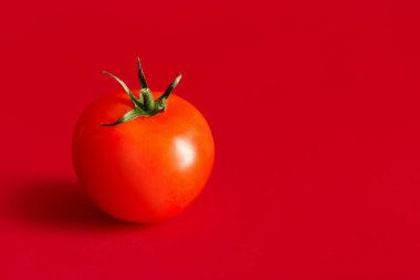 Renkli arkaplanda taze domates