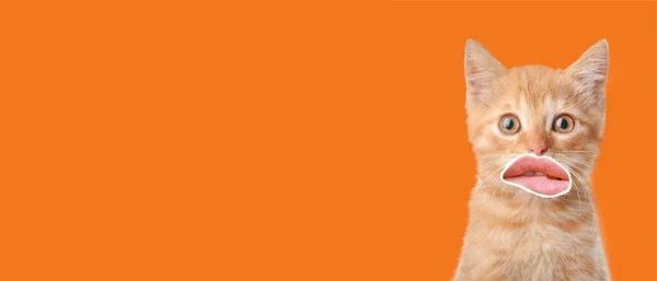 Zabawny Kotek Ludzkimi Ustami Pomarańczowym Tle Miejscem Tekst — Zdjęcie stockowe